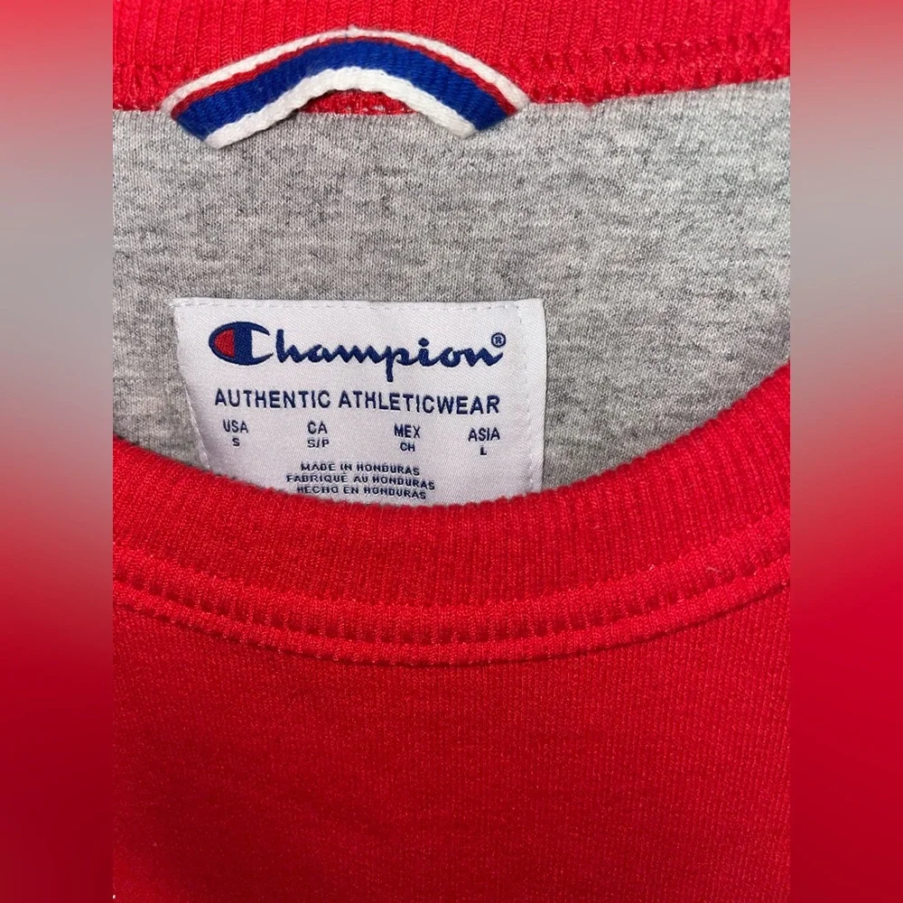 Champion Sweater - Picture 2 of 3